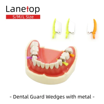 Protezione cuneo dentale per materiali di consumo / cuneo dentale con metallo / cuneo di protezione dente